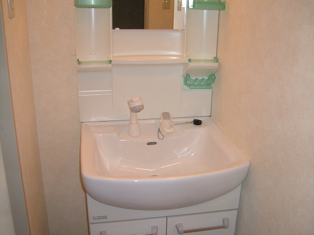 Washroom. Shampoo dresser