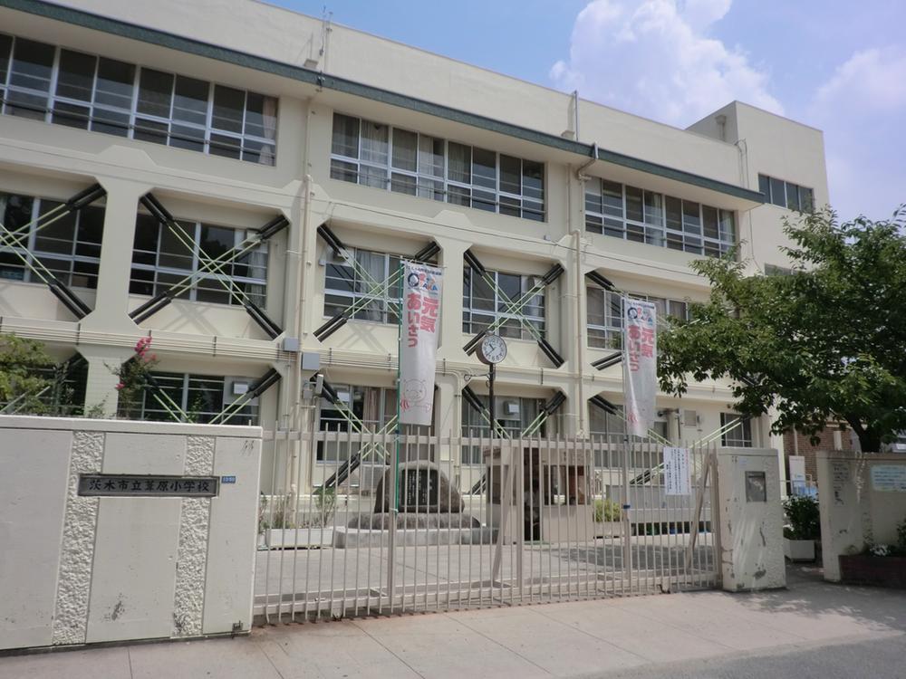 Primary school. Ibaraki Municipal Ashihara to elementary school 628m