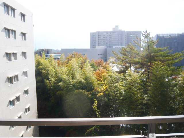 Kitchen. View