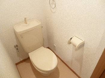 Toilet. Toilet