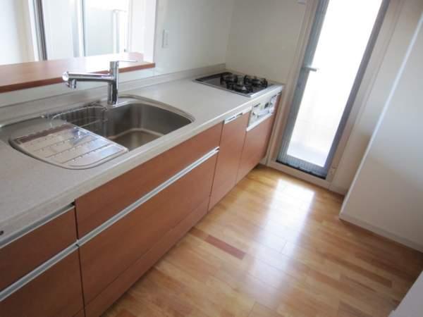 Kitchen. Quiet design sink, water filter, disposer