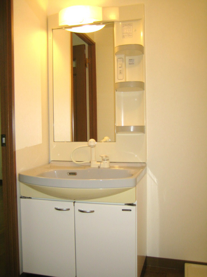 Washroom. Shampoo dresser with