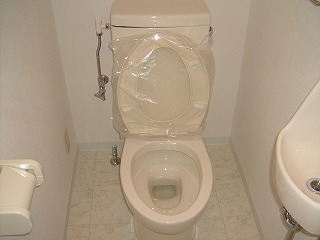 Toilet