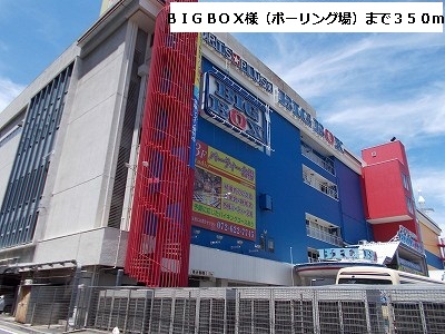 Other. BIGBOX like (bowling alley) (Other) up to 350m