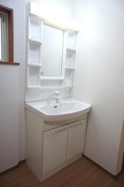 Same specifications photos (Other introspection). Storage lot, Vanity shower