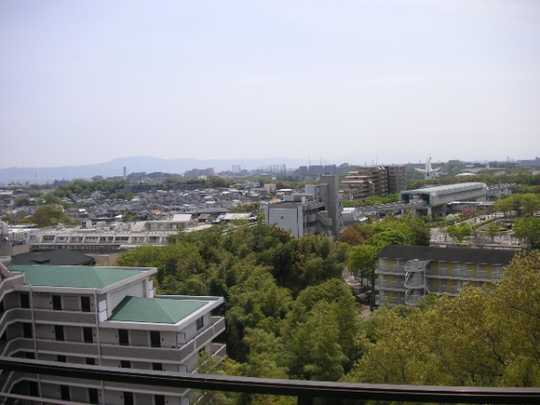 Local appearance photo. View from the south balcony