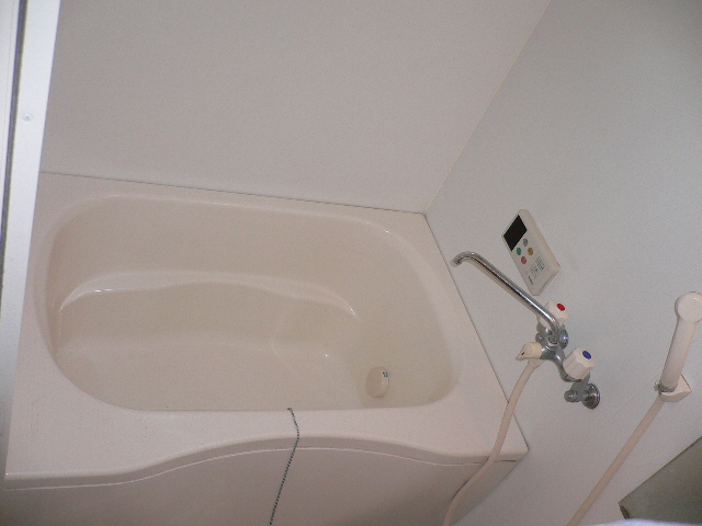 Bath. Spacious bathroom