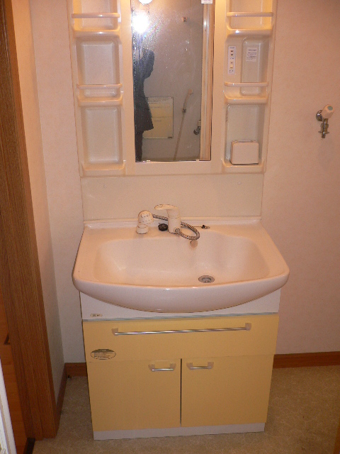 Washroom. Shampoo dresser