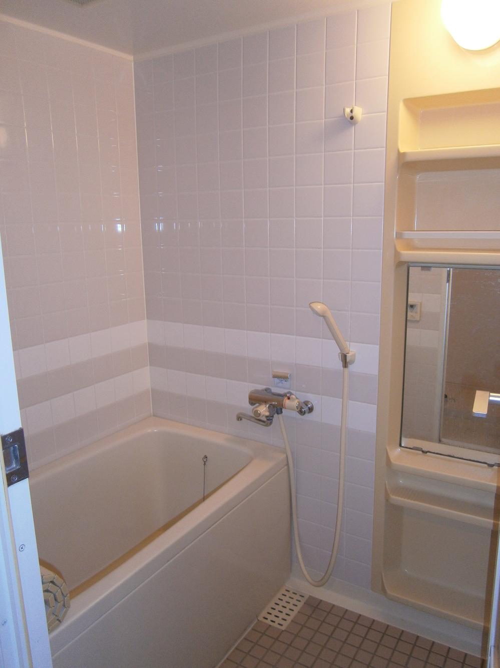 Bathroom. Indoor (11 May 2013) Shooting