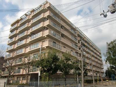 Local appearance photo. Local (11 May 2013) Shooting