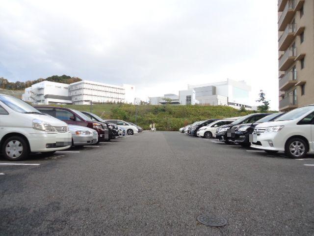 Parking lot. Common areas