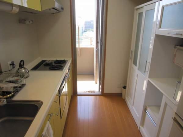 Kitchen. There is a back door