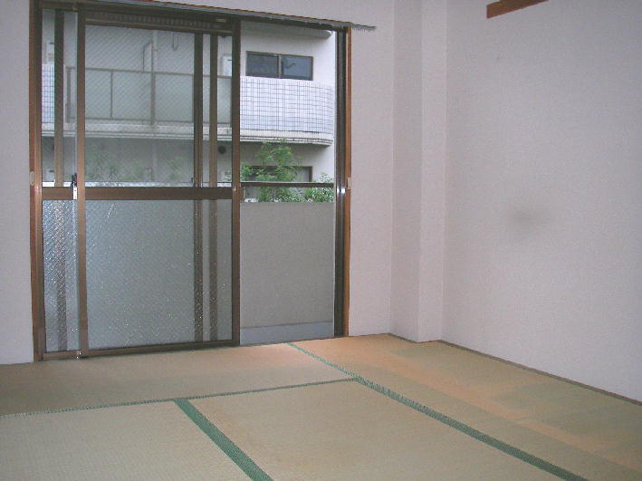 Other room space. Japanese style room