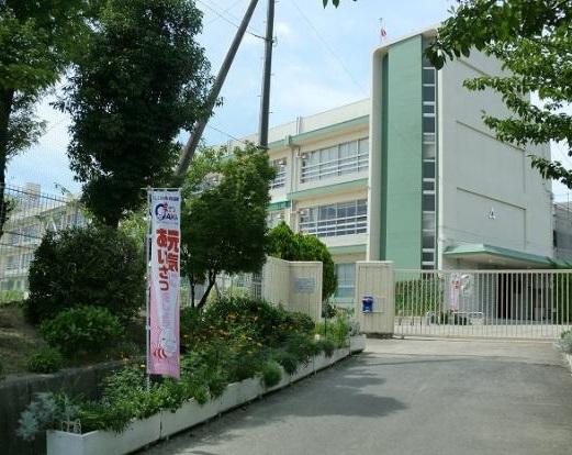 Primary school. Ibaraki 448m to stand Koriyama elementary school
