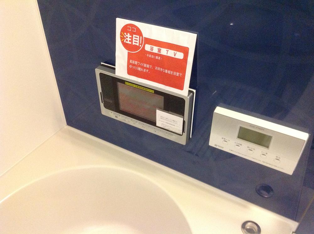 Other. Bathroom TV is standard equipment! !