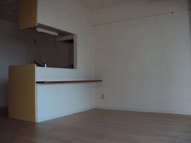 Living and room. Counter with LDK.