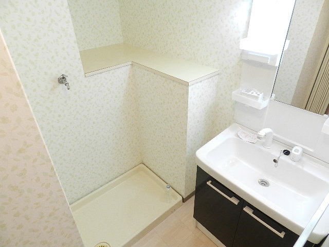 Washroom. Shampoo dresser newly established