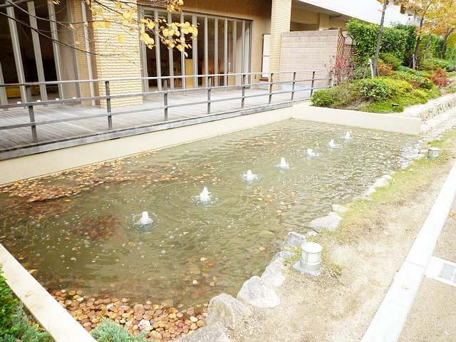 Other local. Local (11 May 2013) Shooting