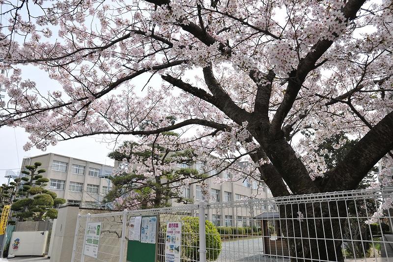 Primary school. Municipal Midorigaoka closeness of the 706m walk 9 minutes to elementary school