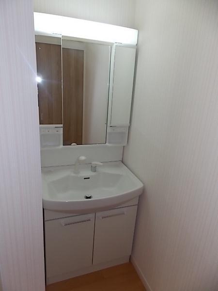 Same specifications photos (Other introspection). Storage lot, Vanity with shower