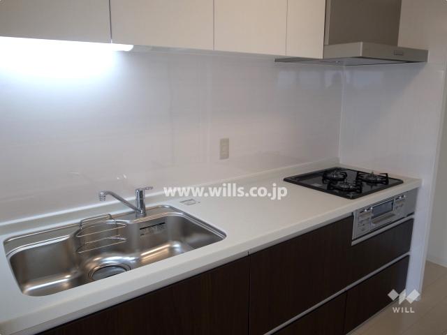 Kitchen. Indoor (12 May 2013) Shooting