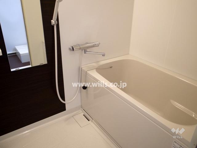 Bathroom. Indoor (12 May 2013) Shooting