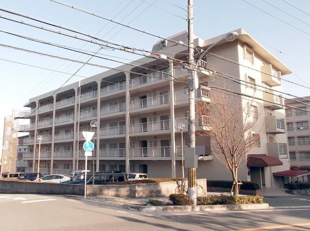 Local appearance photo. Local (September 2013) Shooting