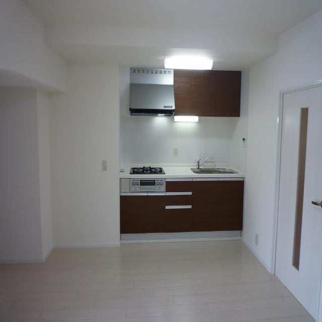 Kitchen. System kitchen had made