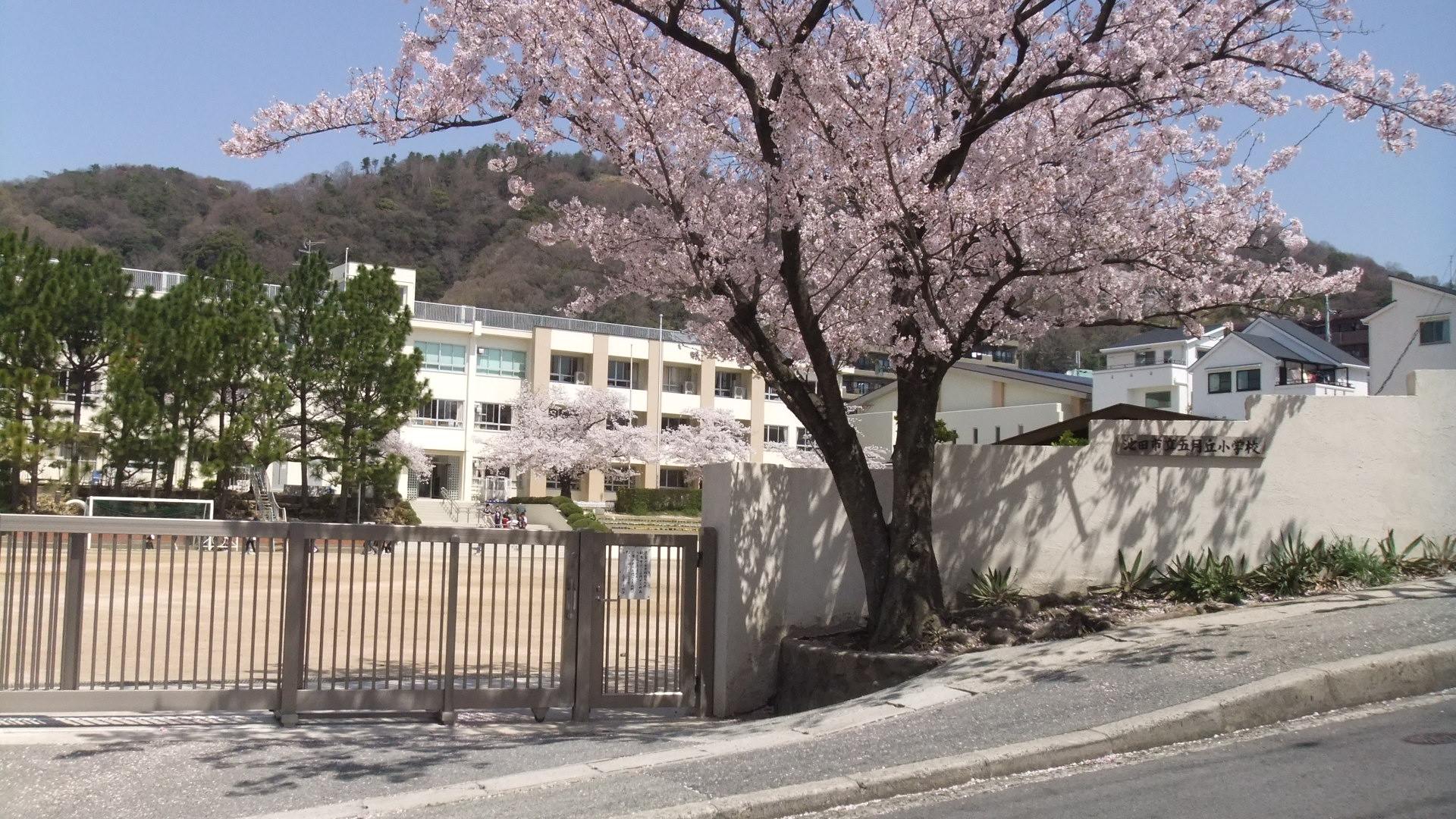 Primary school. Ikeda Municipal Satsukigaoka to elementary school (elementary school) 380m