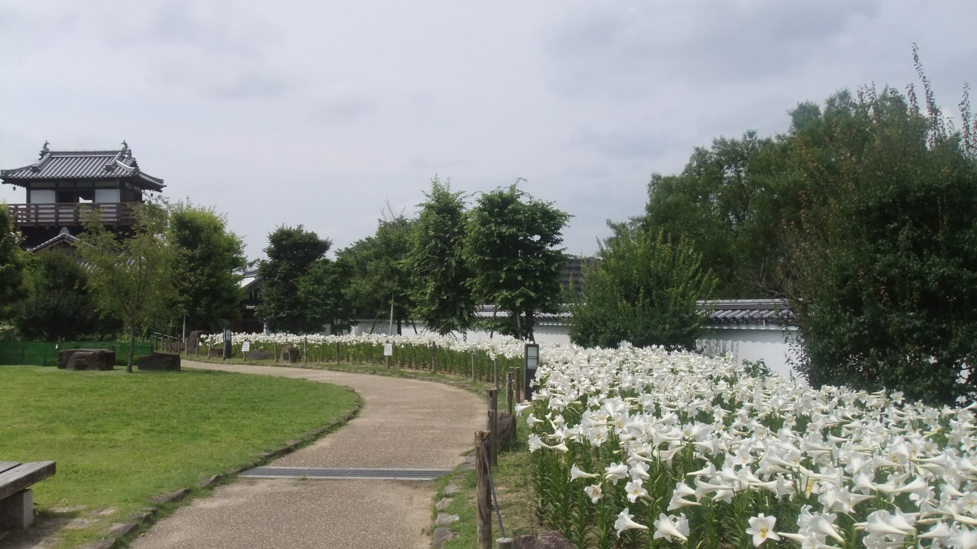 park. 720m to Ikeda Castle Ruins Park (park)