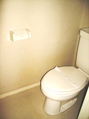 Toilet. Western-style toilet