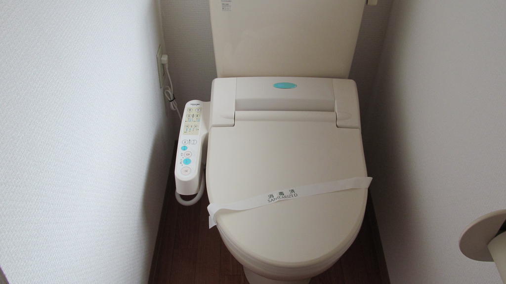 Toilet. Pre-disinfection