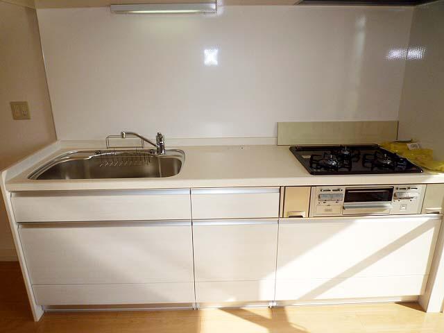 Kitchen. System kitchen had made