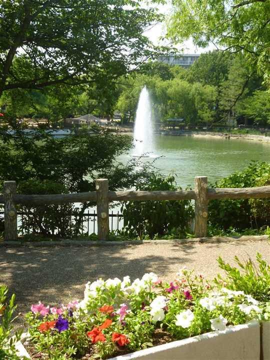 Other. 2-minute walk from the local to Suigetsu park. Kanbai ・ Cherry Blossoms ・ iris ・ Foliage season, Guests can enjoy a different atmosphere in each. It is exotic buildings "HitoshiKaorutei" also attractions in the park. 