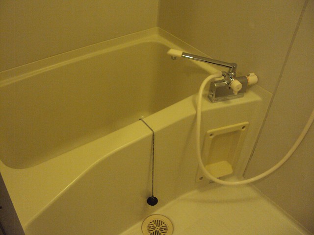 Bath. Spacious clean bathroom