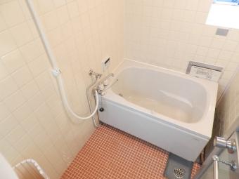 Other. It was replaced bathtub. 
