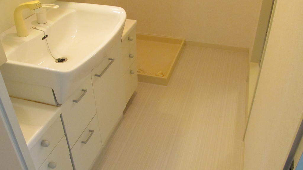 Other. Large wash basin and a large dressing room with a shower