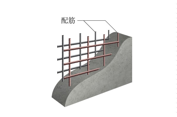 Building structure.  [Double reinforcement] The rebar of bearing walls and Tosakaikabe of gable, It is possible to expect a higher strength than the company with the conventional single reinforcement, Double reinforcement has been adopted (conceptual diagram)