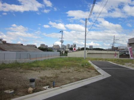 Other local. Large-scale development is a subdivision within the