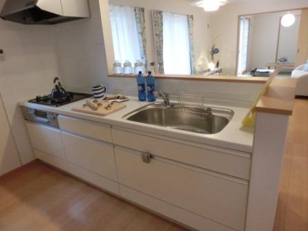 Kitchen. Construction cases indoor shooting