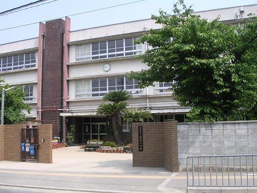 Primary school. Black swan to elementary school 1680m