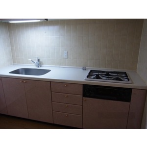 Kitchen. Gas stove 3-neck with