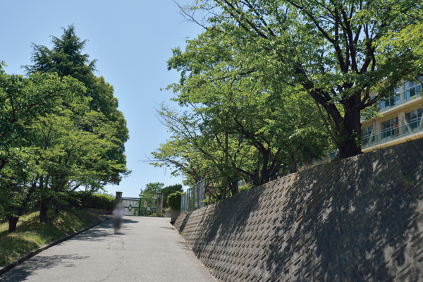 Surrounding environment. Municipal stone tail Junior High School (6-minute walk ・ In about 440m) Kokugaku birthplace,  Splendid monument is built, which was written as a "Kokugaku birthplace of" before Ishio junior high school main gate
