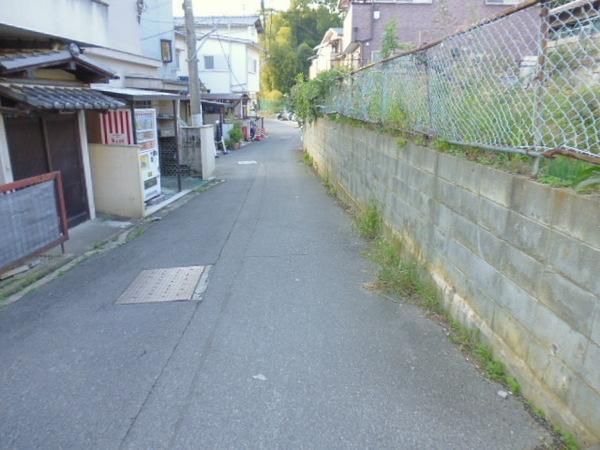 Local photos, including front road