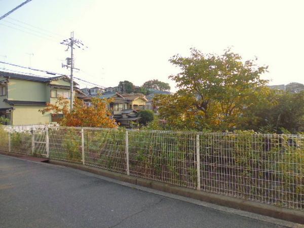 Local photos, including front road