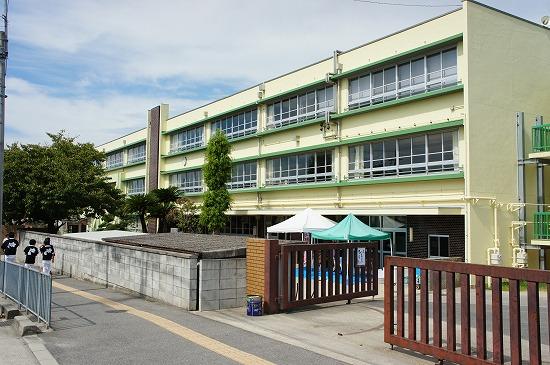Primary school. 481m until Izumi City black swan Elementary School