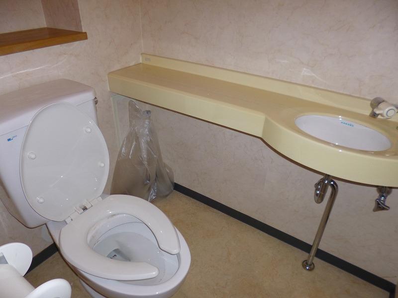 Toilet. With basin