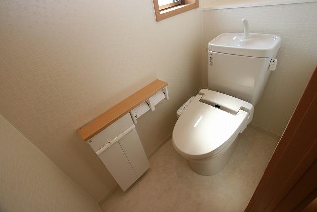 Toilet. Shower toilet