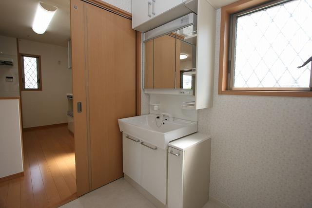 Wash basin, toilet. Vanity with shower