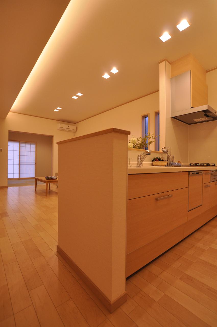 Kitchen. Counter kitchen cooking time is fun.